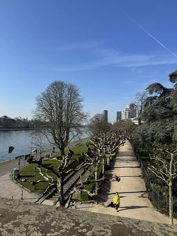 Blick auf eine Allee mit vielen Bäumen und wenigen Personen, links daneben ein großer Fluss