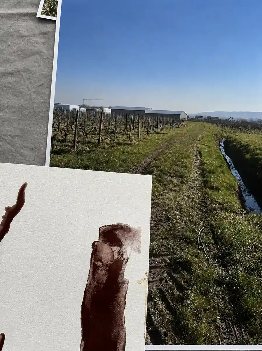Blick auf einen Obstgarten mit Weinreben und Wasserkanal bei sonnigem Himmel.